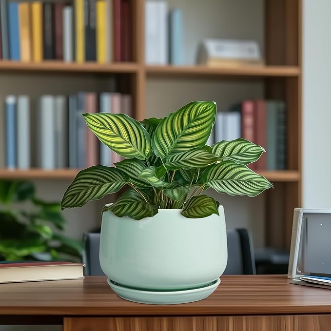 G EPGardening Ceramic Plant Pots - Image 8