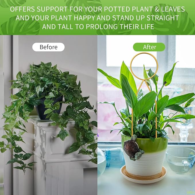 4 Pcs Small Metal Trellis for Potted Plants, Small Trellis for Potted Plants - Image 5