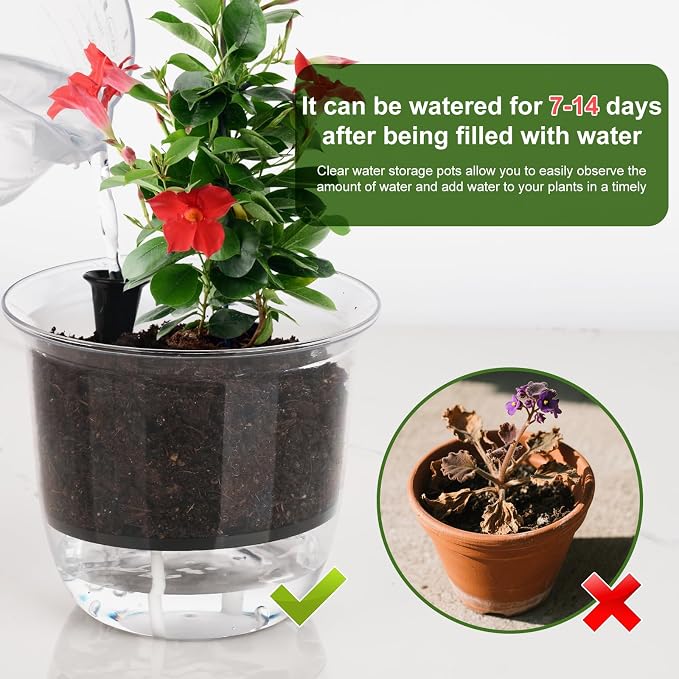 Plant Pots 6/5/4 inch Set of 3, Self Watering Pots - Image 5
