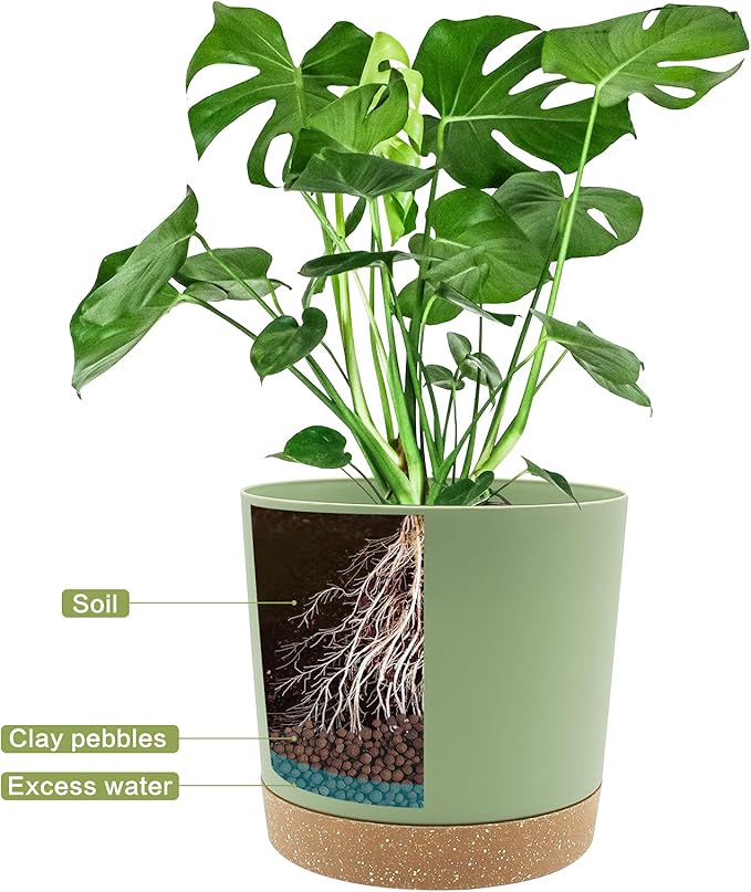 QCQHDU 12 inch Plant Pot, 2 Pack Planters - Image 4
