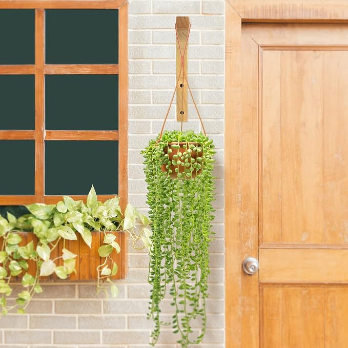 Wooden Plant Hangers - Image 5
