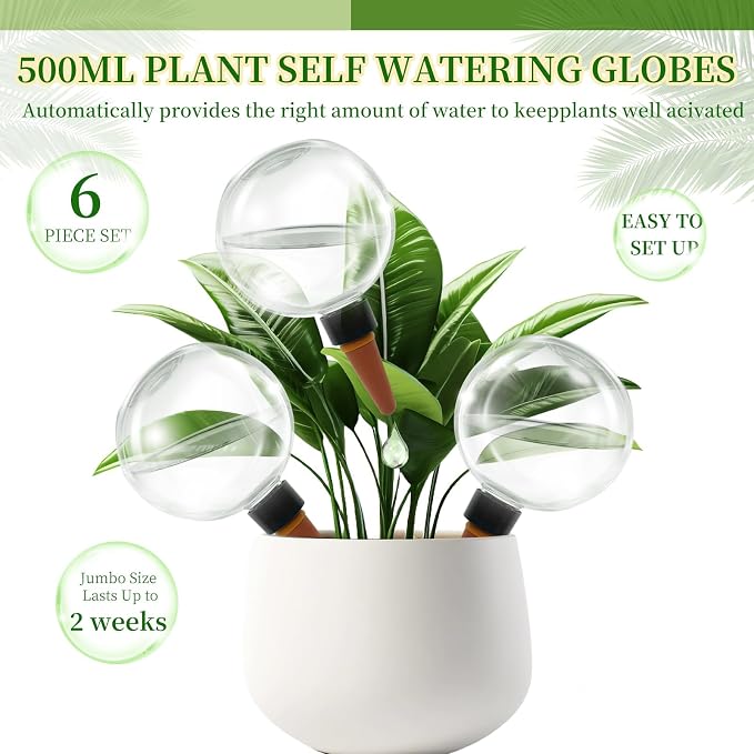 6 Pack Self Watering Globes for Indoor Plant Plastic Water Bulbs 17.5 oz - Image 4