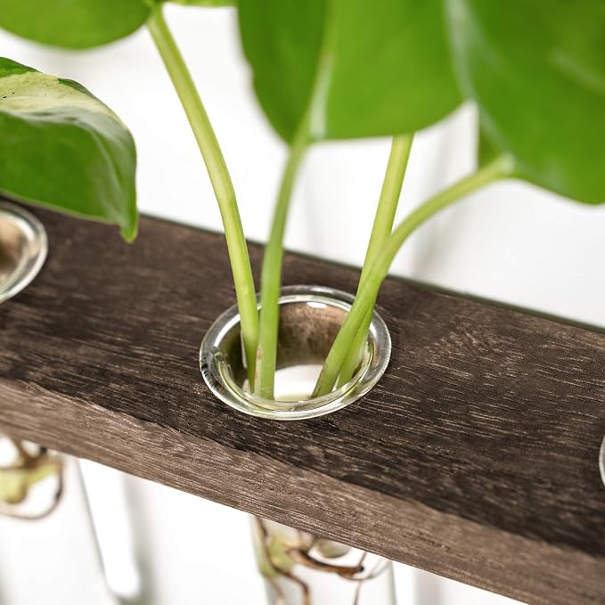 Mkono Plant Propagation Tubes, 3 Tiered Wall Hanging Terrarium - Image 5