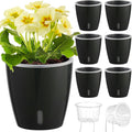 Self Watering Pots for Indoor Plants, Small African Violet Pots by KvyusFlourish