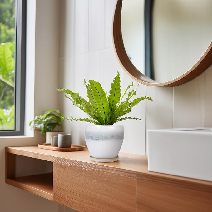 Ceramic Plant Pot - Image 7