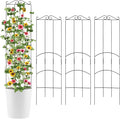 4 Pack 32'' Plant Trellis Indoor by ANCOUUIN