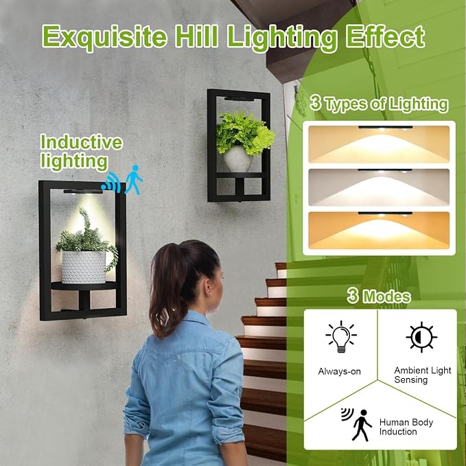 BAOYOUNI 2 Pack Picture Frame Wall Plant Holder - Image 7