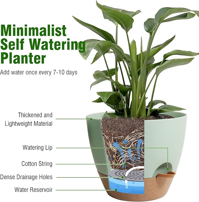 Big Self Watering Pots 12/10/9 inch, Plant Pots - Image 5