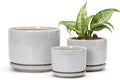 Ton Sin Plant Pots, 4.1+5.1+6.5 inch, Ceramic Planters by TonSin