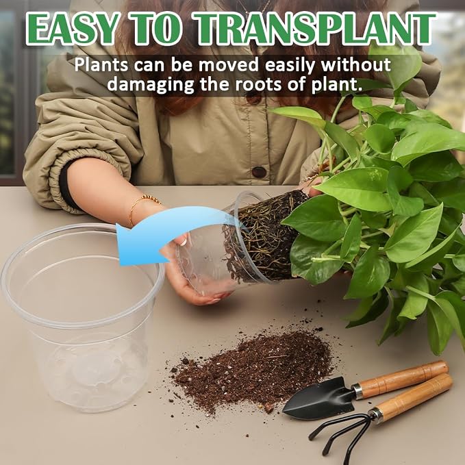 30 Pack 7/6/5/4/3 Inch Clear Nursery Pots - Image 5
