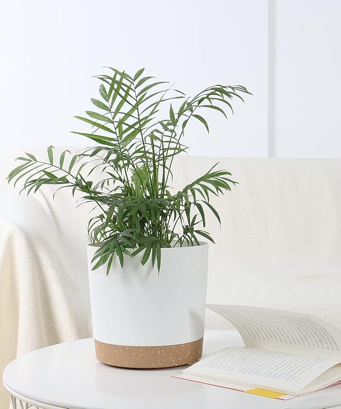 kubvici 8'' Plastic Flower Planter Pots Set of 2 Indoor Outdoor Planters - Image 7