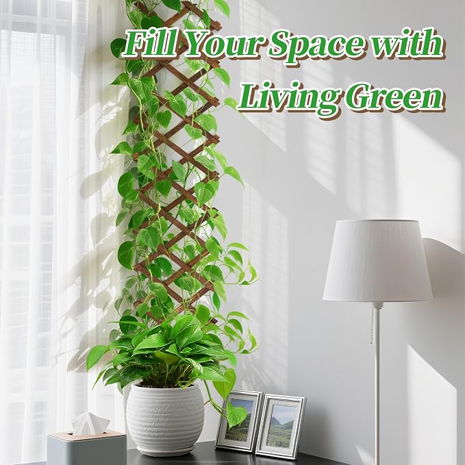 Pack of 2 Extra Thick Wooden Wall Trellis- Expandable Wall Planter Lattice - Image 4