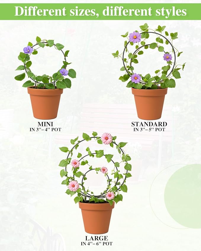 3 Pcs Different Sizes Metal Hoya Trellis, Small Round Indoor Plant Trellis - Image 6