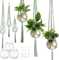 6 Pcs Plastic Plant Propagation by Colingmill