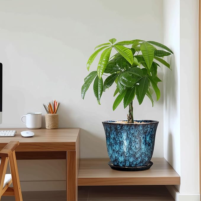 10 Inch Plant Pot - Image 7