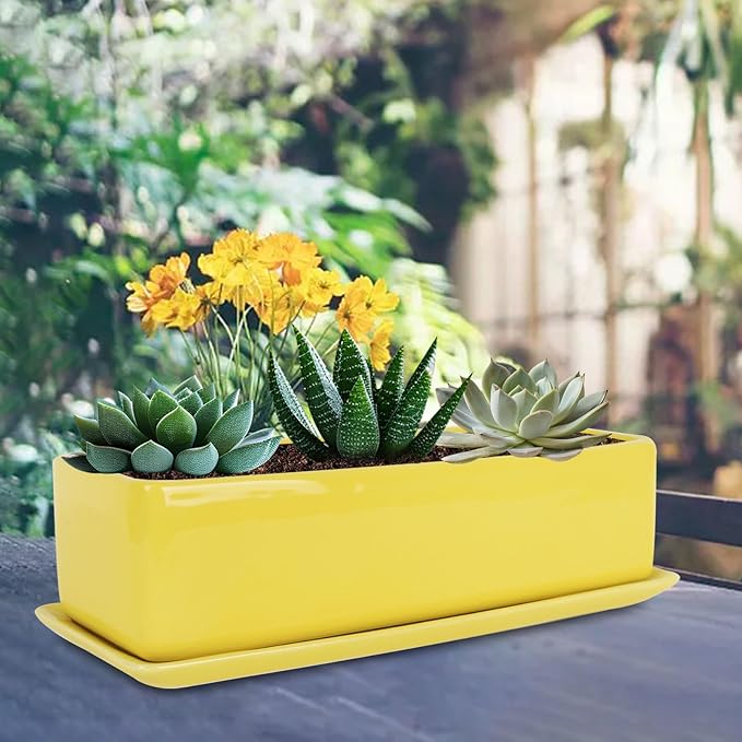 Vencer 14 Inch Rectangular Modern Minimalist Ceramic Succulent Planter Pot - Image 5