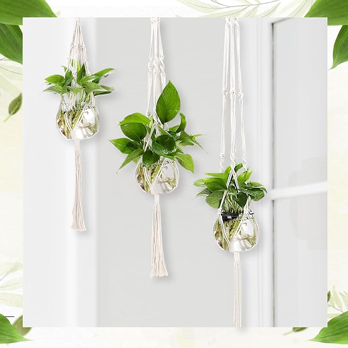 12 Pcs Plastic Plant Propagation - Image 6