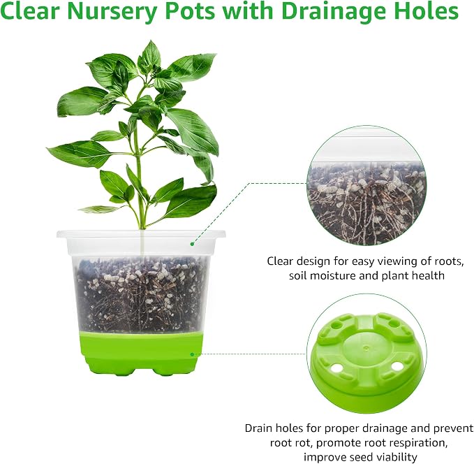 MIXC Thickened Clear Nursery Pots - Image 6