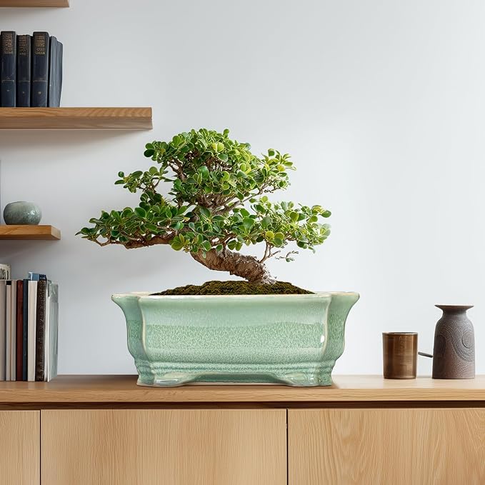 Bonsai Pots - 13.7 Inch Rectangle Ceramic Pots - Image 8