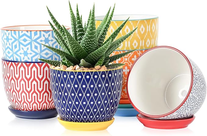 Selamica Ceramic Succulent Pots, 4.6 Inch Small Plant Pots by Selamica