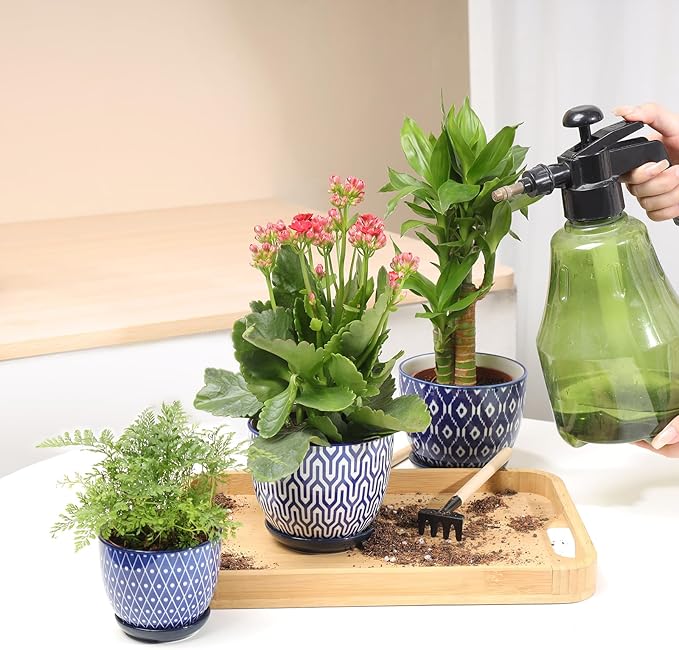 Selamica Ceramic Succulent Pots - Image 5