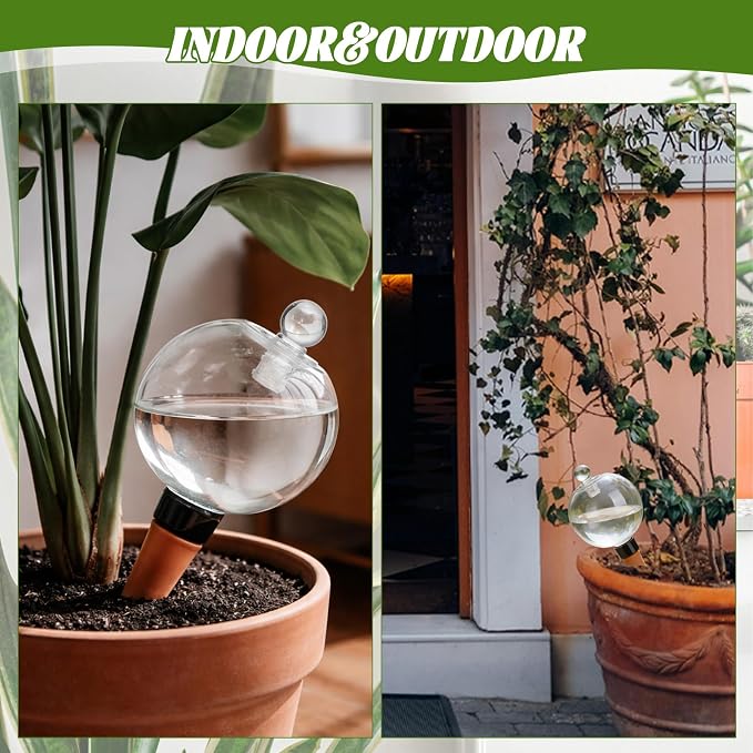 4 Pack 17.5 oz Plant Watering Globes - Image 2
