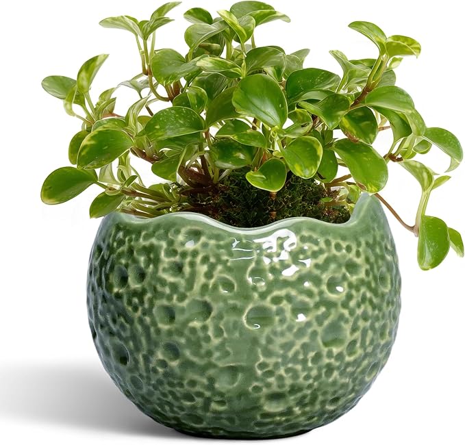 Ceramic Plant Pots by Thirtypot
