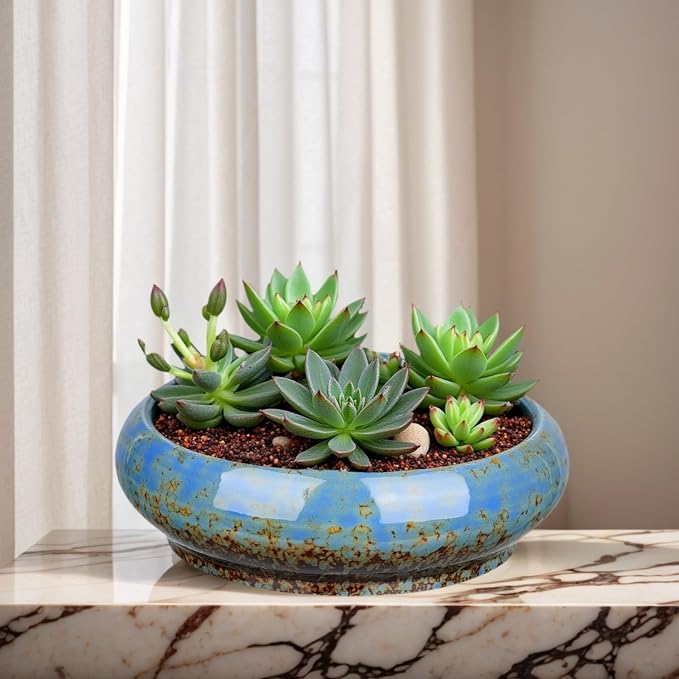 7.3 Inch Succulent Planters Pots Shallow Ceramic Glazed Planter Pots, Lotus - Image 2