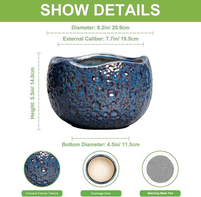 8 Inch Plant Pot - Image 2