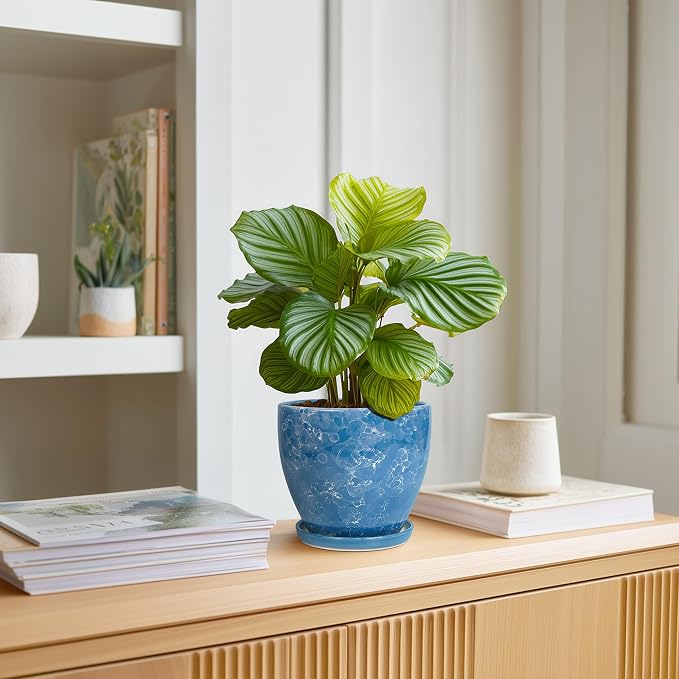 6 Inch Ceramic Plant Pot - Image 3