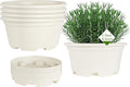5 Pack 8.5 inch Plant Pot, Outdoor Flower Pots, Plastic pots by KPUVX