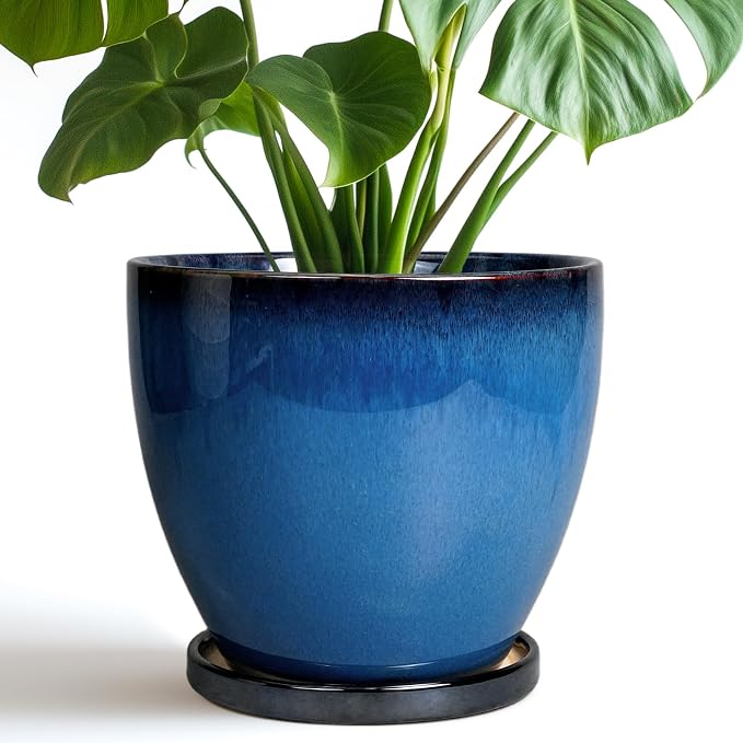 8 Inch Planter - Ceramic Plant Pot by EPFamily
