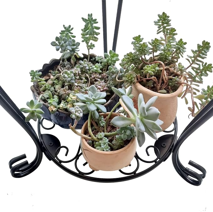 CASIMR 2-Pack Plant Stand, 2 Tier 19.2 inch Tall Metal Potted Holder Rack - Image 5