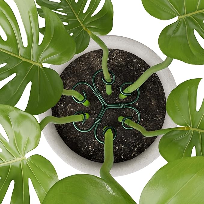 4PCS Green Iron Monstera Support, Uniquely Designed Plant Support Stakes - Image 7