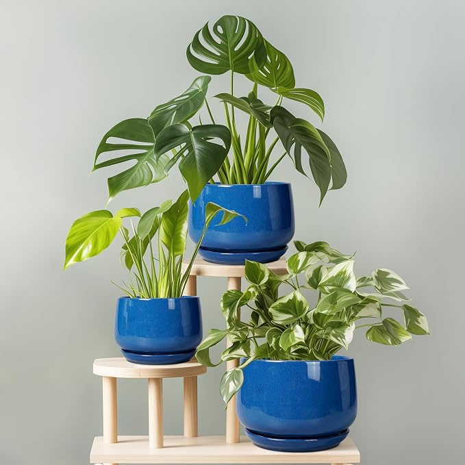 G EPGardening Round Ceramic Plant Pots - Image 7