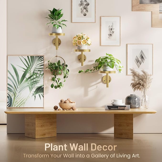 YUOROS 3 Pack Wall Plant Holder Stand Wall Planters - Image 3