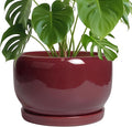 SQOWL Ceramic Pot for Plants by SQOWL
