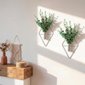 2 Pieces Wall Decor Hanging Planters by Canlierr