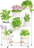 LASZOLA 8 Tiered Folding Plant Stand Indoor by LASZOLA