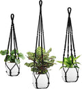 Macrame Plant Hanger by IDEEEPAN