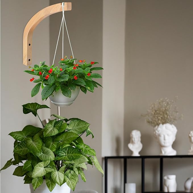 Wooden Wall Hooks for Plants - Image 3