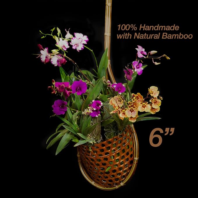 Handmade 100% Thai Bamboo 6 Inch Signature Super Sanctuary SIAM Orchid Hanging - Image 2