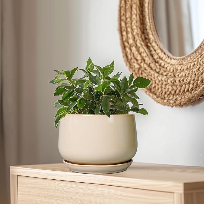 G EPGardening Ceramic Plant Pots - Image 5
