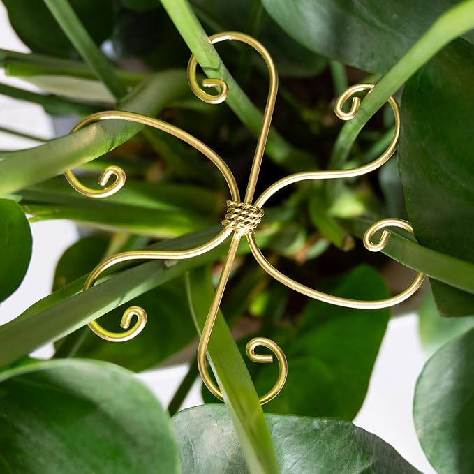6.5IN Monstera Plant Support Hook 5PCS Durable Stem Stabilizer by Yohsnor