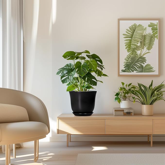 8 Inch Plant Pot - Image 7