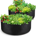 LBTING 2Pcs 50 Gallon Plant Grow Bags, Fabric Raised Planting Bed Heavy Duty by LBTING