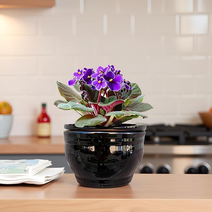 African Violet Pots Self Watering Round Ceramic Violet Pot - Image 8