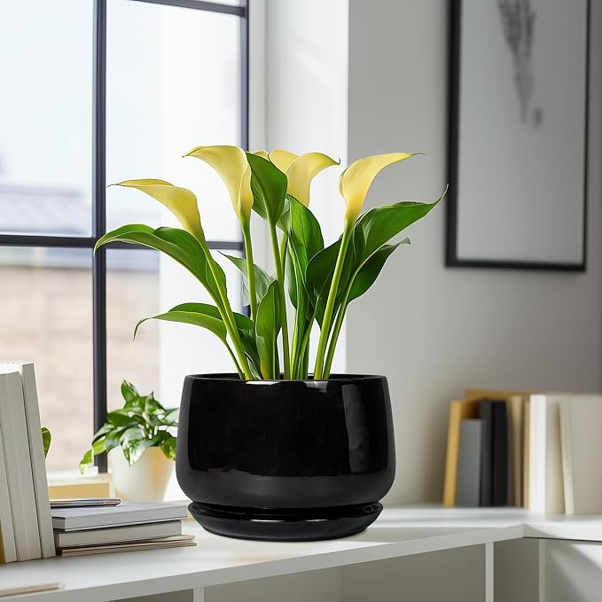 G EPGardening Ceramic Plant Pots - Image 8