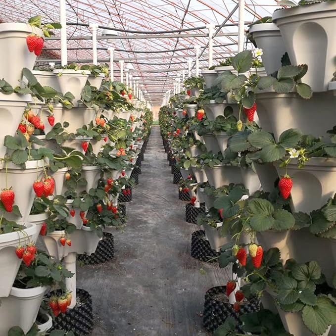 Strawberry Vertical Planters 5 Tiered, Stacking Tower Garden, Stackable Herb - Image 8