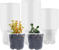 100 Pack 2.8 Inches Clear Plant Pots by RooTrimmer